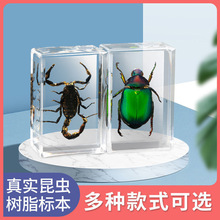 �S��ֱ�NС�������x�˱���֬�����������˱�ϐ��֩���з������