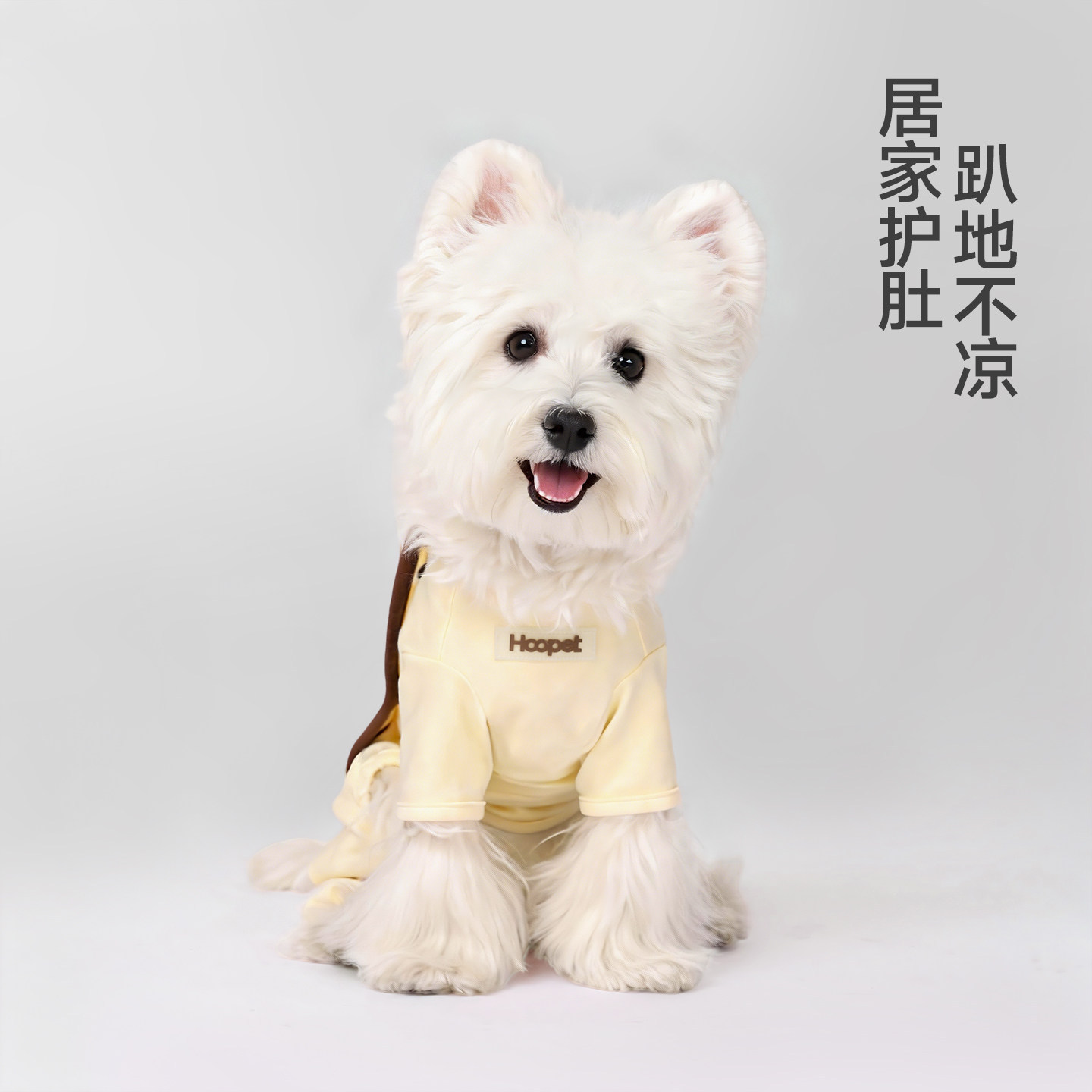 Ropa para perros Huayuan HOOPET, protección para el vientre, cálida, antidesprendimiento, ropa cómoda para el hogar para perros y gatos de tamaño pequeño, ropa para perros