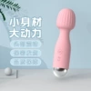 [Tide Party] Ruyi Vibration Stick