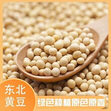 熟黄豆新货东北农家自种大豆五谷杂粮黄大豆豆浆专用食材