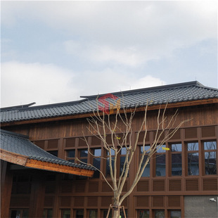 ����Ͳ�� �X�Ͻ�¹��� �R ���� �¹Ų���� ˮ��ҷ¹�������