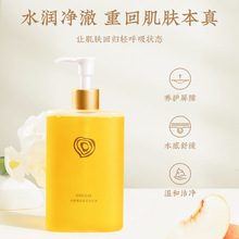 �������I�������꾧����ԡ�ͱ����坍�����B�w�澏���w��ԡ¶�S��