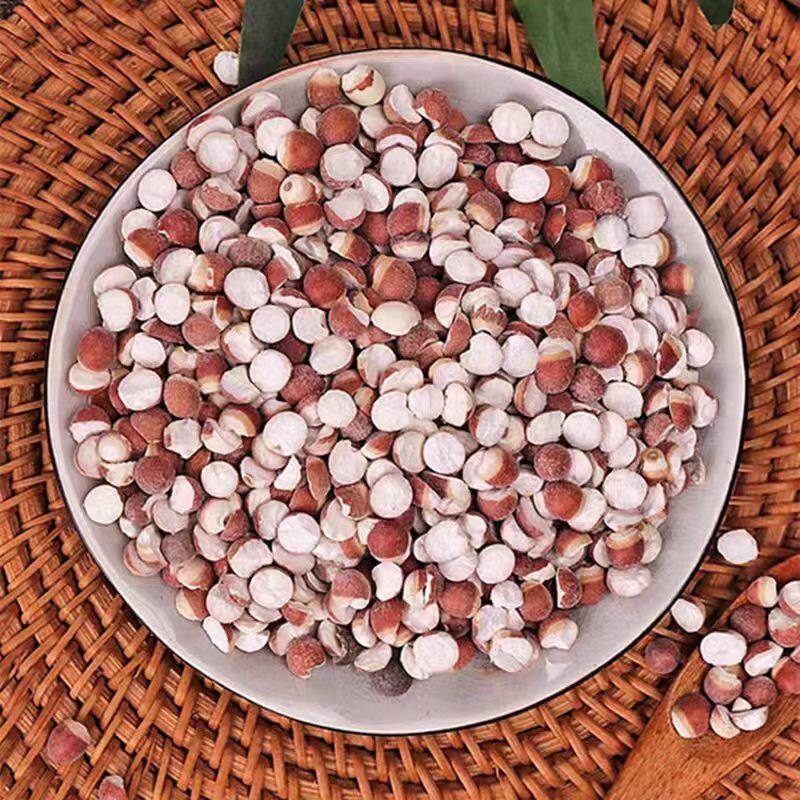 Dried Gorgon Fruit Qian Shi 500g Whole Euryale Seeds for Tea Soup and Congee quality and texture