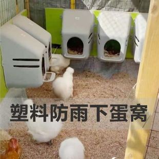 �u�C�µ��C�������ϑ���С���Ӽ�������ɢ�B��ĸ�u�����a��������
