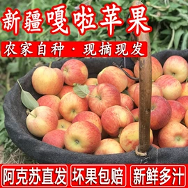 红枣干;葡萄干;苹果干