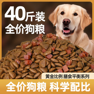 General Size Dog Food 20kg Wholesale Freeze-Dried Dog Food Labrador Golden Retriever Teddy General Full-Price Dog Food Dog Food