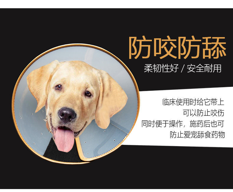 640fc24f-7ec0-4b3f-b245-c21a203f457e.jpe