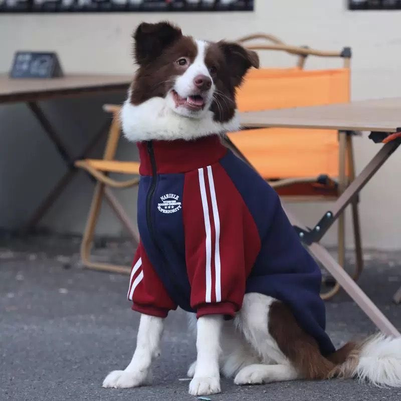 Stylish Medium to Large Dog Pet Clothing Autumn and Winter New Style Golden Retriever, Border Collie, Labrador Fleece-Lined Warm Coat Trendy Stylish Medium to Large Dog Pet Clothing Autumn and Winter New Style Golden Retriever, Border Collie, Labrador Fleece-Lined Warm Coat Trendy