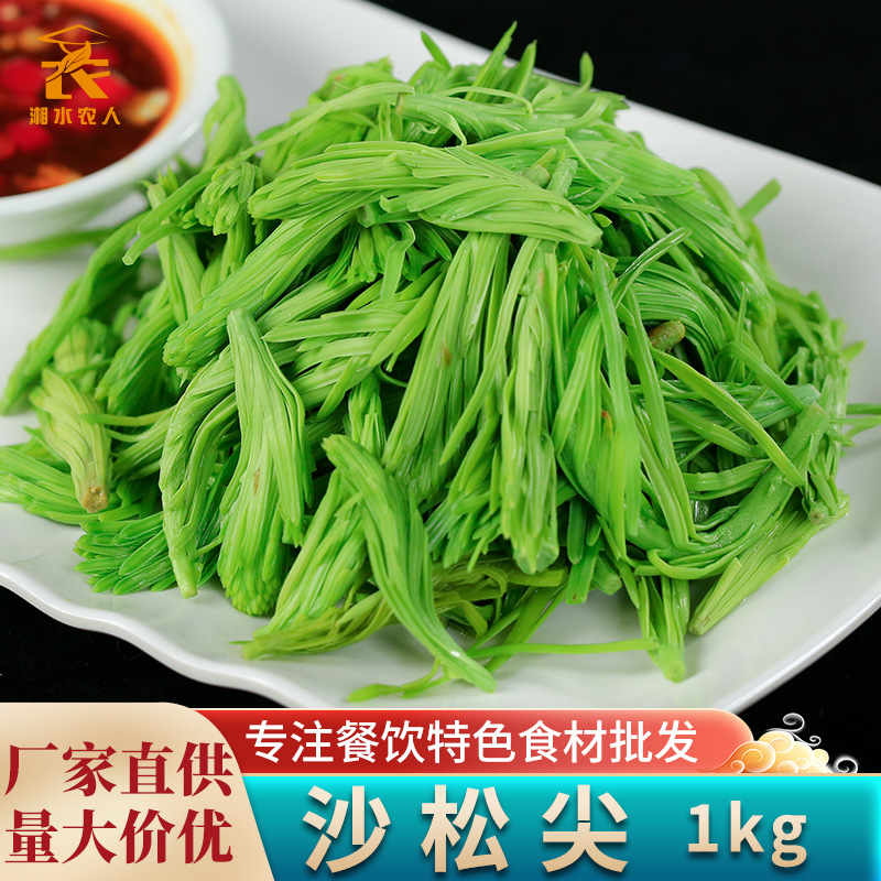 Alpine sand pine tip hot pot cold appetizer vegetables hotel restaurant specialty semi-finished ingredients pre-made fresh wild vegetables