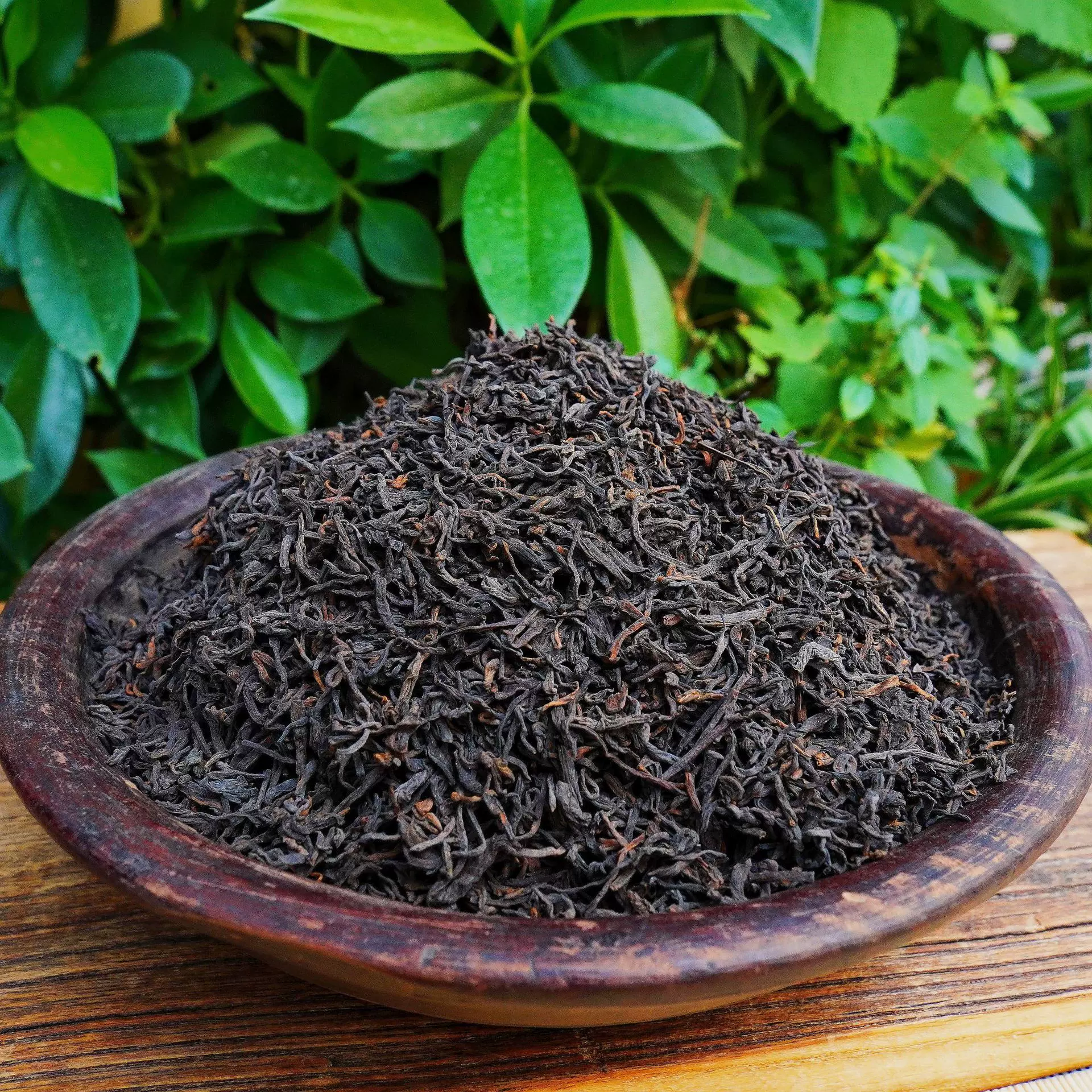 广西梧州六堡茶 2011年陈年熟茶特级石山料制作 500g散茶批发散装