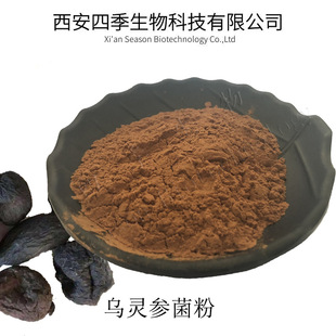 乌灵参提取物 厂家现货 乌灵菌粉 欢迎咨询 乌灵菌纯粉 1公斤起订-阿里巴巴