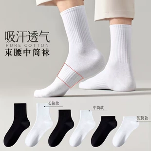 Product Media