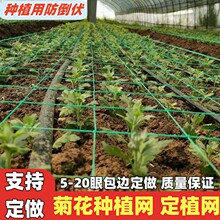��ֲ��������ֲ��оջ��²�����۲�ʯ������ܰ������ֲ��������