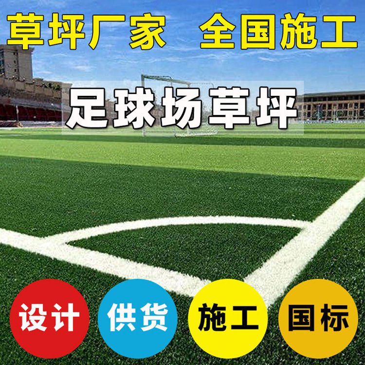 足球场人造草坪学校操场仿真草坪冲沙免填充塑料草皮包工包料