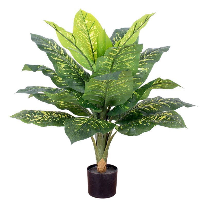 Simulación de paisajismo de interior Planta en maceta Evergreen Simulación de planta de follaje de interior Planta verde Evergreen con maceta image 1