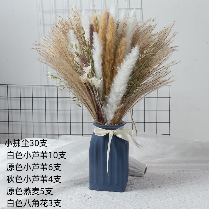 アマゾンはよく売れています。葦の花の花束です。|undefined