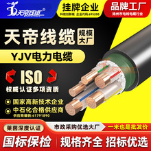 天帝YJV铜芯电力电缆4+1芯4 6 10 16 25平方交联绝缘抗拉伸电源线