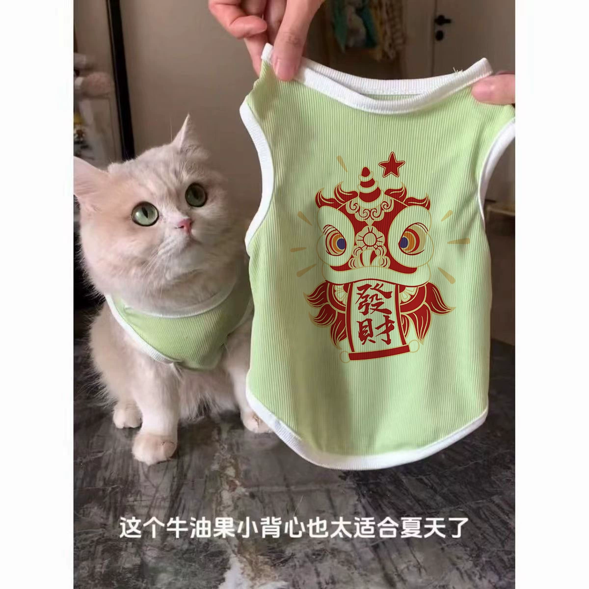 Летняя одежда для котят, милый золотой градиентный рэгдолл, синий котенок, щенок, дышащий и прохладный безрукавный жилет для питомцев оптом