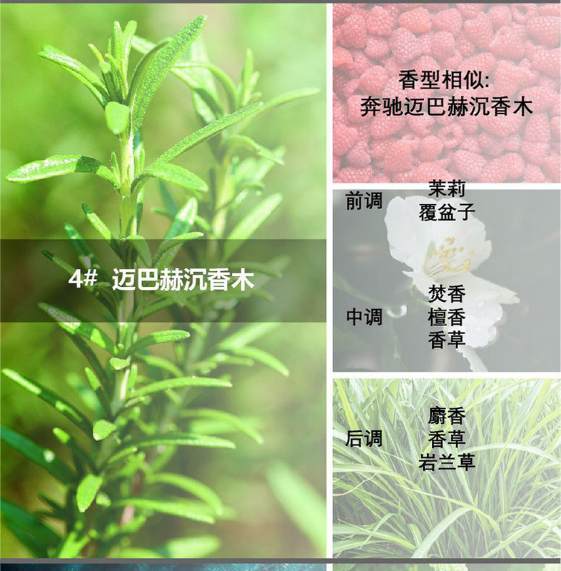香水精油车内香氛负离子系统香薰持久通用空调出除味补充液替换装|undefined