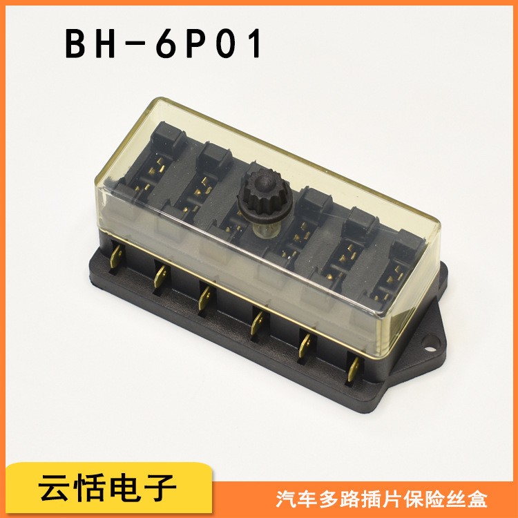 BH-6P01.jpg