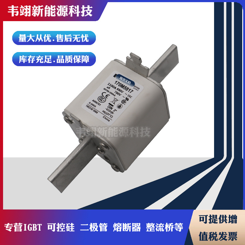 原装进口熔断器170M5927 170M5928 170M5929 170M5930 170M5931