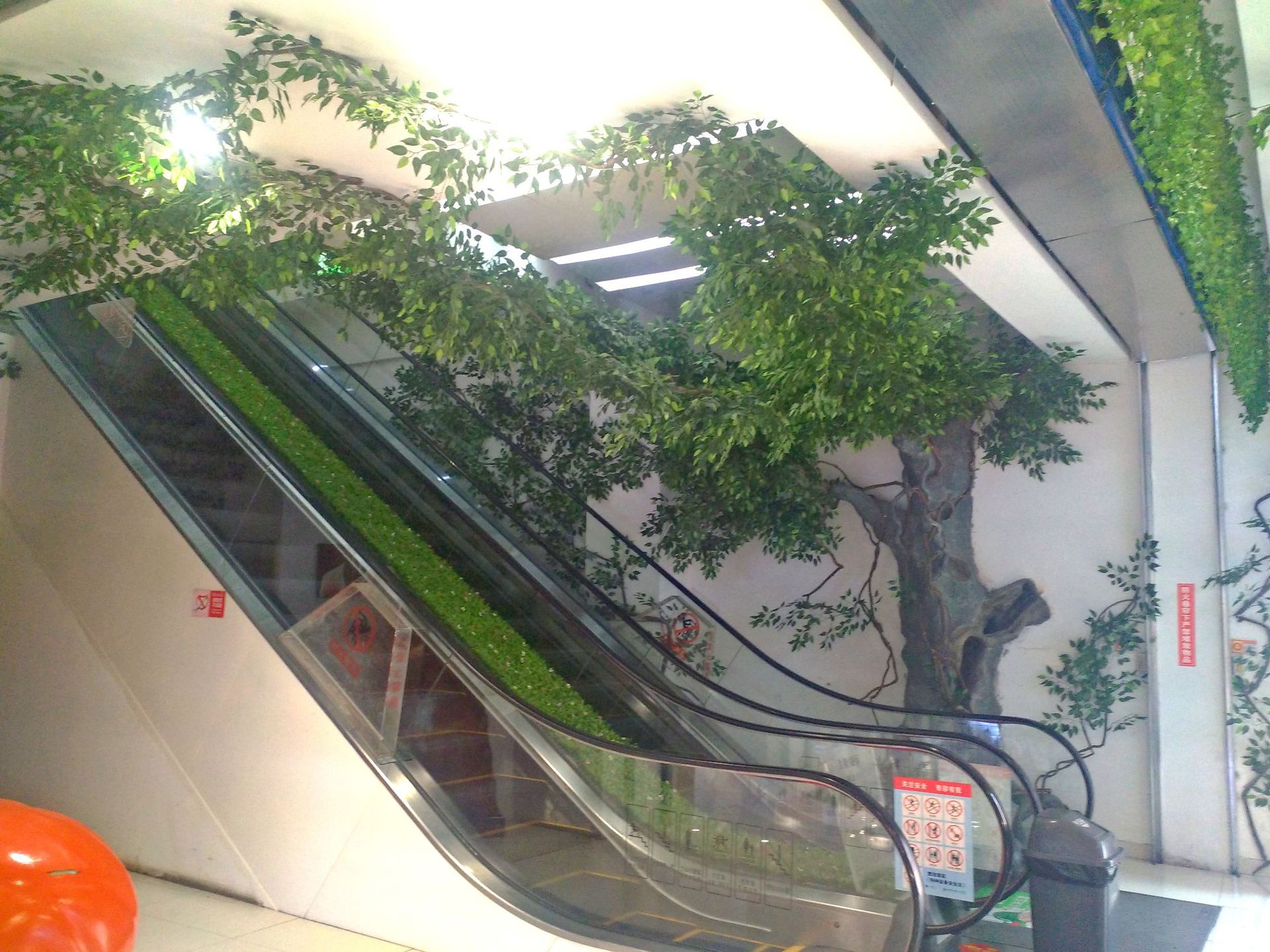 详情1.jpg