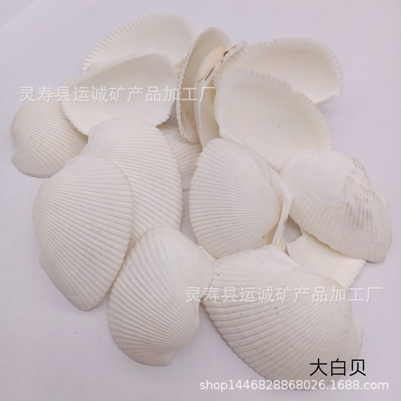 IMG_20210903_145354_副本