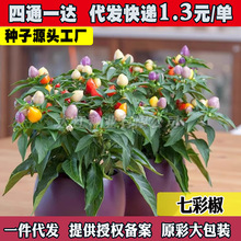 ߲ݽN ݽN \齷߲˷NӴﲥ