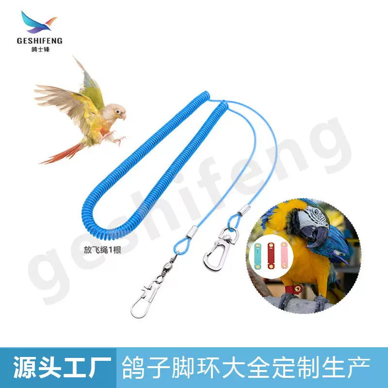 宠物鹦鹉放飞绳弹力虎皮遛鸟超轻放飞绳子结实耐磨小型鸟用品批发