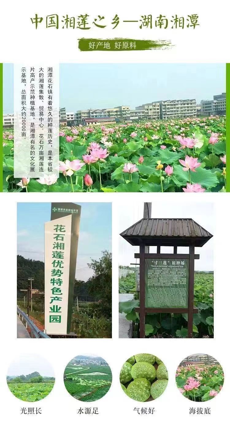 Dried Lotus Seeds Lian Zi 500g Hand Peeled Core Removed Hunan Herb overview