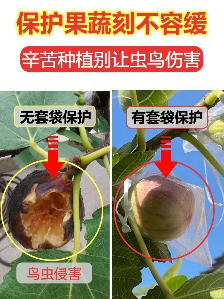 939caed2-c081-45d3-b2dd-9596f230a326.jpe