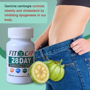 �羳���u 28 days  capsule ���S�F؛ ���S��