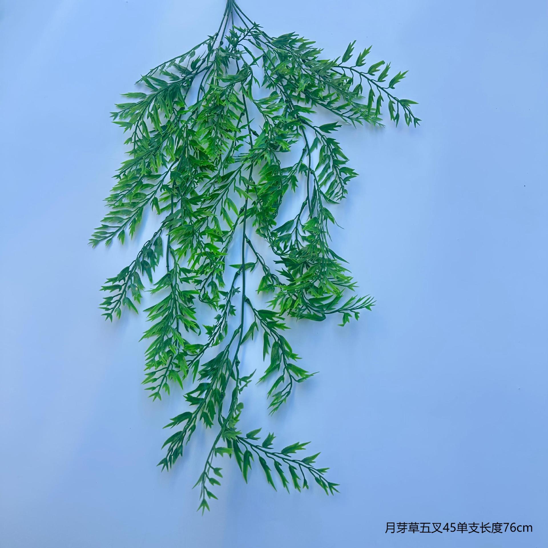 달 새싹 잔디