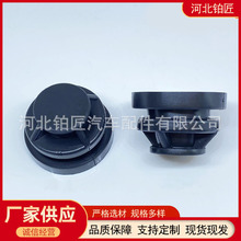 P30110238lәCwz _z|mR_ِCX4CX5