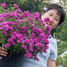 �ٷ���Ş����m�����������Ԏ�����ͥԺ�̨���ܾGֲ