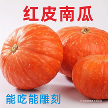 新鲜红皮南瓜金瓜宝宝辅食倭瓜老南瓜万圣节南瓜灯5斤包邮