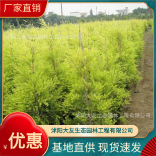 �S�������������l �Ԯa���N  Ʒ�N�Rȫ���^�쾰���̾G����