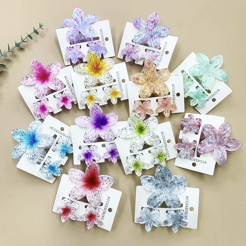 96g Weight Hair Claws Hair Accessories Type 1 Set Quantity Daily Occasion Plastic, Resin Material Plumeria Pattern All Seasons Season Women's Gender Stoving Varnish Design Cute Style Cute Women's Plumeria Plastic Resin Stoving Varnish Hair Claws 2