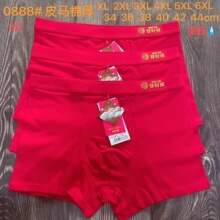 Ƥ�R�� 95�� ��t�lؔѝ��ʿƽ�ǃ�ѝ ������t �|������