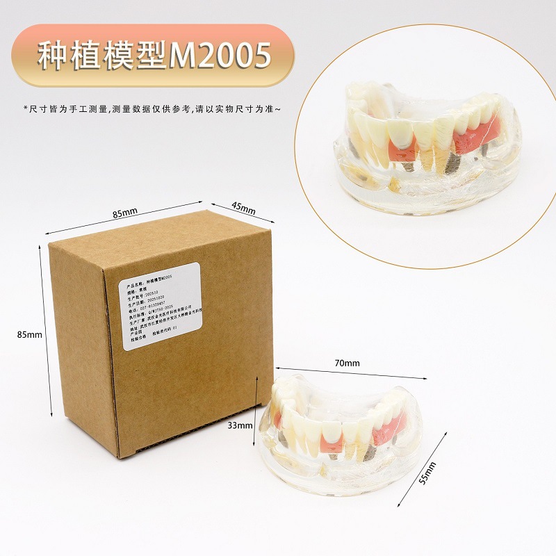 Modelo de ortodoncia dental semi-metal semibrackets Práctica de corrección de molde dental estándar Comunicación médico-paciente Modelo de enseñanza Modelo dental