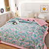 The new type A machine washable cotton bean quilt student spring and autumn quilt skin-friendly cotton bean quilt thick winter quilt soybean quilt