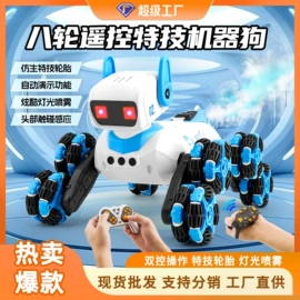 打窝船;遥控船;其他垂钓用品