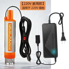 现货批发38型电动抽油泵220V柴油抽油神器抽水泵浇菜抽酒抽尿素泵