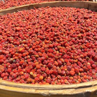 �t��ɼ������ɼ���Ϸ��tɼ�����ݲ��ݾ���؛��؛