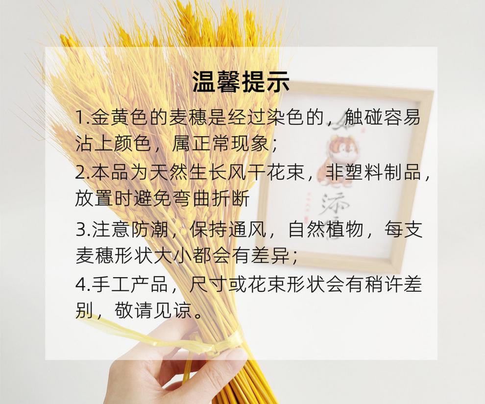 1f6e48e7-b846-46a1-8f6d-4f9f99fab0e4.jpe