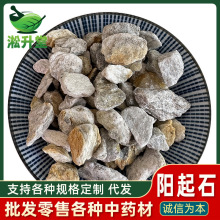 批发矿石类药材阳起石另有阴起石品种齐全阳起石粉现货供应