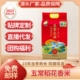 �S�����l �峣��������24��|���������� 5�� ��հ��b �峣����