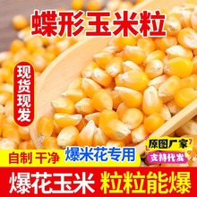 ���׻��������������μ���Ȥζ�������Ʊ��׻�ԭ�ϱ������������l