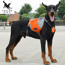 狗狗牵引;狗狗包、箱;宠物帽子