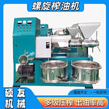 商用大型玉米花生油菜籽榨油机 油葵核桃葵花籽黄粉虫榨油 冷榨机